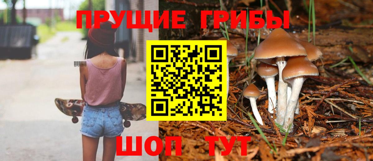 Псилоцибиновые грибы мицелий  Вход с VPN  Псилоцибиновые грибы мицелий  Лосино-Петровский 