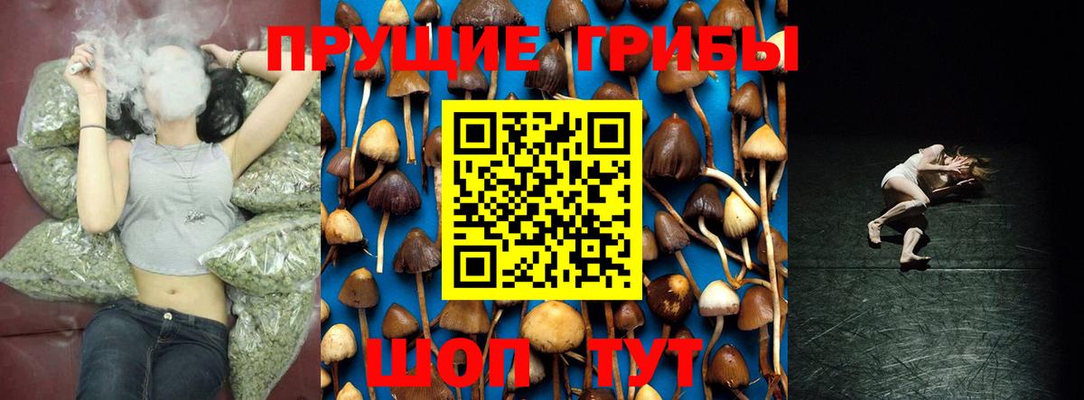 Псилоцибиновые грибы мицелий Лосино-Петровский